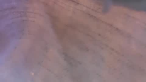 Snapshot of daisy9kat chatting on March 2026 06:44:02 PM Daisy137 online show from March 2026 06:44:02 PM