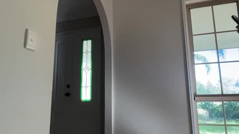 Snapshot of daisyfayer chatting on March 2026 10:05:01 PM Daisy online show from March 2026 10:05:01 PM