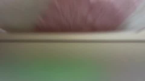 Snapshot of daisyfayer chatting on March 2026 11:36:01 AM Daisy online show from March 2026 11:36:01 AM