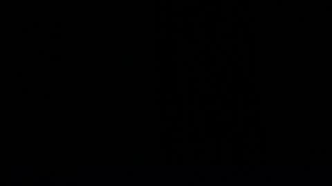 Dakota Simon online show from February 2025 11:55:02 AM