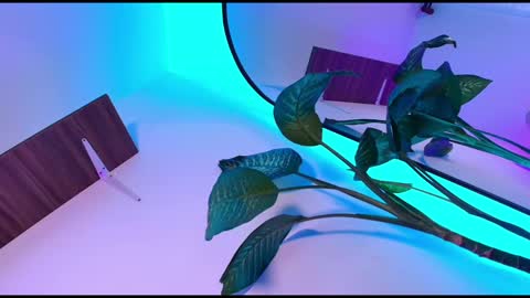 Dalila online show from November 2025 10:48:01 AM