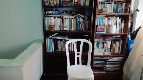 JamesDali online show from February 2025 11:33:02 AM