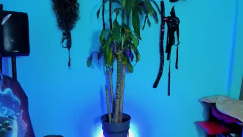 Damian torner online show from October 2025 07:56:01 AM