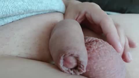 Damocles online show from November 2025 02:19:02 PM