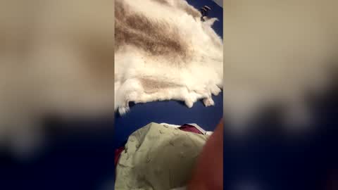 damontsi online show from March 2026 09:34:02 AM