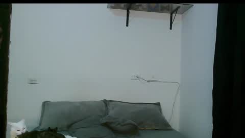 Snapshot of dan_yagami chatting on March 2025 12:27:02 AM Dan and Noah online show from March 2025 12:27:02 AM