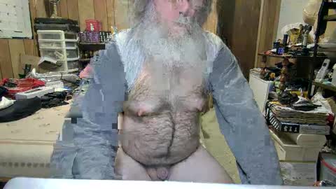 Snapshot of danagm chatting on December 2024 04:35:02 AM Dana online show from December 2024 04:35:02 AM