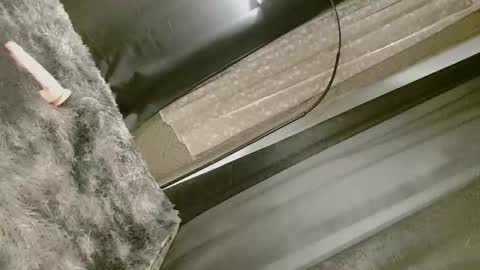 Nica online show from September 2025 08:25:02 AM