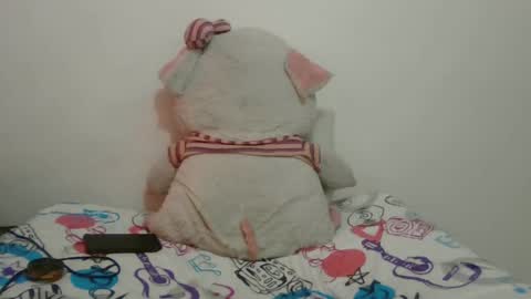 Snapshot of dani_42017 chatting on January 2025 01:58:01 PM dani_42017 online show from January 2025 01:58:01 PM