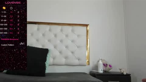 Snapshot of dani_ary chatting on January 2025 02:23:01 PM DANI online show from January 2025 02:23:01 PM