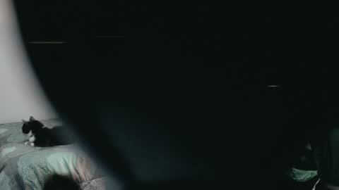 Snapshot of dani_jocelyn chatting on March 2025 11:53:01 PM dani y jocelyn online show from March 2025 11:53:01 PM