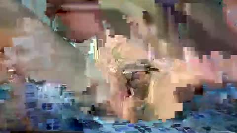daniel_griffin online show from May 2026 06:47:01 PM