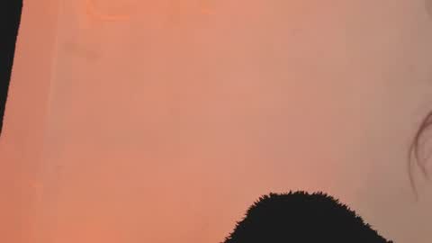 Snapshot of daniela_rivasthl chatting on March 2026 04:48:01 AM daniela_rivasthl online show from March 2026 04:48:01 AM