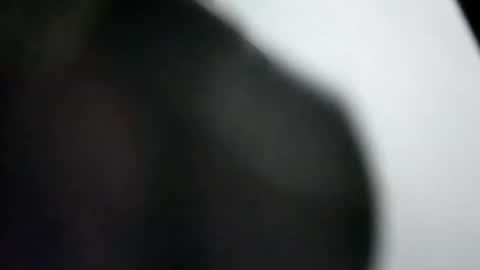 danielzg97 online show from January 2025 11:44:02 AM