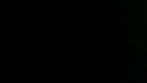 Snapshot of dankshepp chatting on October 2025 10:00:02 AM dandeb online show from October 2025 10:00:02 AM