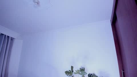 Snapshot of danna_stewart chatting on December 2024 02:42:01 AM Paulina online show from December 2024 02:42:01 AM