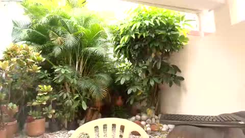 Dannamunoz130 online show from October 2025 12:48:02 PM