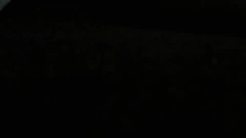 danny81boy online show from December 2024 11:51:01 PM