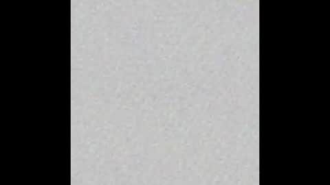 Dannyaa online show from December 2025 12:35:02 PM