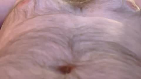 Snapshot of dannyflexxx chatting on March 2026 08:09:01 AM Master Dan online show from March 2026 08:09:01 AM