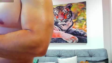 DANTE online show from February 2026 02:45:02 AM