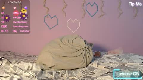 dante_bear online show from February 2026 11:17:01 AM