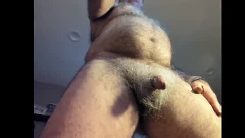 Snapshot of dantes_lion chatting on January 2025 08:42:01 PM Mark online show from January 2025 08:42:01 PM