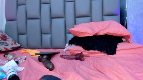 karol  online 2pm until 830 online show from December 2024 10:18:01 PM