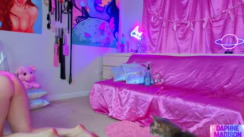 Snapshot of daphnemadison chatting on March 2026 09:22:02 PM Daphne Madison online show from March 2026 09:22:02 PM