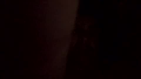 Snapshot of dapoolcleaner chatting on January 2025 07:49:01 PM dapoolcleaner online show from January 2025 07:49:01 PM