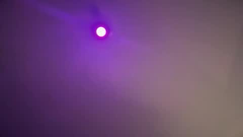 daquim online show from November 2025 11:14:01 PM