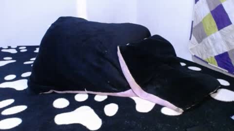 DARA online show from June 2026 11:52:01 PM