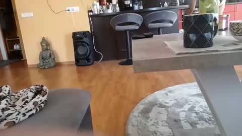 Snapshot of dariusx455 chatting on April 2026 02:00:02 PM dxd69 online show from April 2026 02:00:02 PM