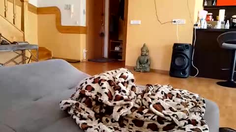 Snapshot of dariusx455 chatting on April 2026 02:40:01 PM dxd69 online show from April 2026 02:40:01 PM