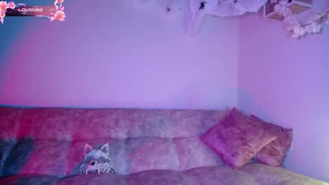 Snapshot of dark__nymph chatting on October 2025 11:44:02 AM Dark online show from October 2025 11:44:02 AM