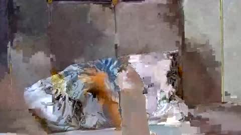 Snapshot of dark_candy254 chatting on December 2024 03:54:02 PM Dark Candy 254 online show from December 2024 03:54:02 PM