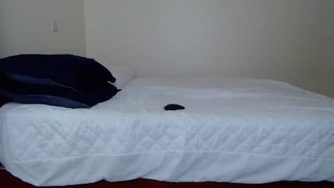 Snapshot of dark_qween chatting on October 2025 06:37:02 AM dark_qween online show from October 2025 06:37:02 AM