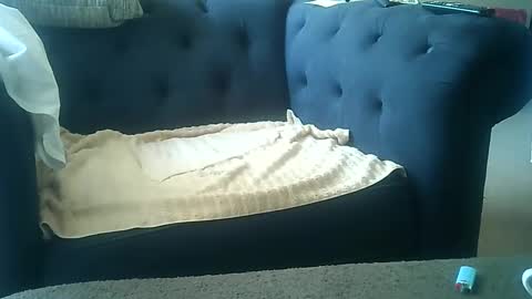 Snapshot of darkangelmarkos007 chatting on January 2025 09:01:02 PM DarkAngel online show from January 2025 09:01:02 PM