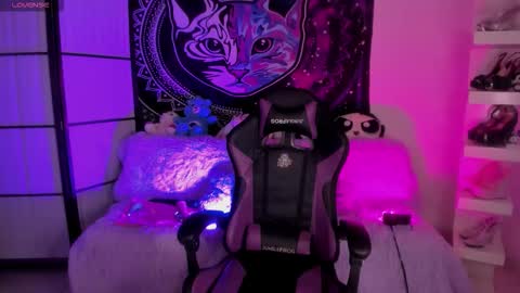 daryimiau online show from November 2025 09:10:01 AM