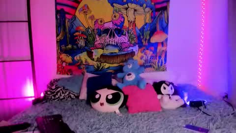 daryimiau online show from January 2026 01:37:02 PM