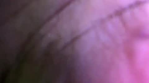 Snapshot of dasa_david1993 chatting on April 2026 11:59:02 AM dasa_david1993 online show from April 2026 11:59:02 AM