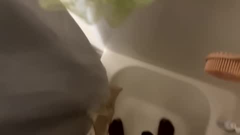 Snapshot of dasquirtmaster chatting on March 2026 10:43:02 PM dasquirtmaster online show from March 2026 10:43:02 PM