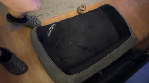 Datguy127 online show from February 2025 05:09:02 AM