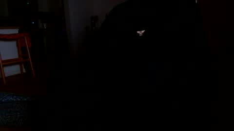 Snapshot of datyo1234 chatting on March 2026 05:22:02 AM datyo1234 online show from March 2026 05:22:02 AM