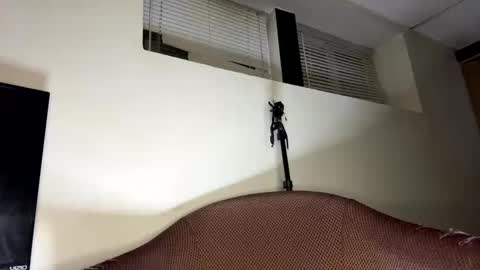 Snapshot of dave875126 chatting on April 2026 01:53:01 AM dave875126 online show from April 2026 01:53:01 AM