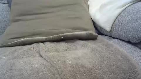 davesmiff1 online show from January 2025 07:48:02 PM