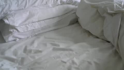 davesmiff1 online show from February 2025 11:53:01 AM