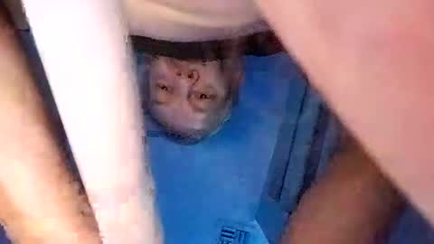 Snapshot of david_stone1969 chatting on March 2025 03:13:02 PM david_stone1969 online show from March 2025 03:13:02 PM