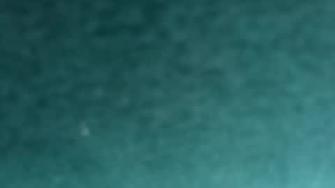 davidf75 online show from November 2025 09:42:02 AM