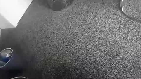 davidf75 online show from November 2025 10:43:02 AM